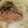 クックUL8OCM☆'s cooksnap of when they made アジのうまうまなめろう⭐︎.