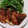 サーゴット's cooksnap of when they made 簡単☆塩さばのにんにくマヨパン粉焼き.
