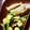 三人の天使ママ☆'s cooksnap of when they made ほうれん草とはんぺんの卵炒め.