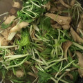 クックDRQB6R☆'s cooksnap of when they made 簡単☆水菜と茸のあっさり煮浸し柚子胡椒で.