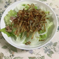 tomoともさん's cooksnap of when they made 揚げごぼうとツナのサラダ.