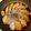 cookpad1年生's cooksnap of when they made 簡単☆鶏のテリヤキ丼☆.