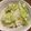 明日も晴れ's cooksnap of when they made シンプル塩味＊そら豆と塩昆布ごはん.