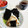 まいもぐ2020's cooksnap of when they made チーズと奈良漬と胡桃のおにぎり.