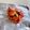 ☼apple☼'s cooksnap of when they made 簡単！エビチリ☆ブロッコリー.