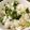 ベティ３'s cooksnap of when they made これ旨！栄養満点の大根の葉っぱご飯.