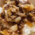 うめこぶちゃん｡'s cooksnap of when they made 簡単！子供パクパク、あまから牛丼.
