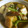 白猫同盟's cooksnap of when they made 青梗菜と厚揚げのトロッと炒め.