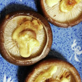 チョコ♪ミント's cooksnap of when they made 椎茸のマヨネーズ焼き.