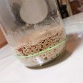 〜みみ〜's cooksnap of when they made 天然酵母液からおこす天然酵母元種(中種).