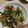 クックRP41WN☆'s cooksnap of when they made 絶品！ターサイと鶏胸肉のオイスター炒め.