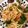 aginda3's cooksnap of when they made 玉ねぎピーマンエリンギの豚こま味噌炒め♡.