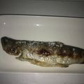 まめまるM's cooksnap of when they made ニジマスの塩焼き.