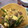 またたびちゃま's cooksnap of when they made ケンタロウ風　アスパラと牛肉の卵炒め.