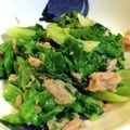 古賀竜一's cooksnap of when they made 簡単！サラダ菜とシーチキン炒め.