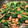 CBRsaiko's cooksnap of when they made ほうれん草とベーコンのバター炒め.