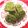 CANADOLL's cooksnap of when they made 濃厚～抹茶クッキー.