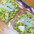 ごきげんYOYO♪'s cooksnap of when they made そら豆の冷凍保存～食感が変わらない方法～.
