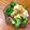 クック7YS1T3☆'s cooksnap of when they made ブロッコリー＆エビ＆ゆで卵のサラダ.
