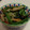 しらたまこむぎ's cooksnap of when they made ☺簡単♪ちくわとピーマンの塩昆布和え☺.