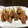 kimi2144's cooksnap of when they made 甘エビの頭・素揚げ風.