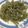 mocorin3's cooksnap of when they made ふきの砂糖菓子.