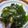 クック1DWX6D☆'s cooksnap of when they made ナスとわかめのお浸し.