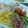 nakamu929's cooksnap of when they made ★自家製タレで大好評冷やし中華★.