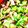 kisr1010's cooksnap of when they made タコときゅうりの酢の物.