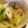 よし坊's cooksnap of when they made リュウジさんの無水油鍋.