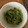 みっちーUSA's cooksnap of when they made 豆苗とツナ缶のめんつゆ和え.