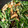 クックCNZGFQ☆'s cooksnap of when they made コクうま　エリンギと水菜のオイスター炒め.