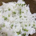 かめたん♪'s cooksnap of when they made カラスノエンドウの豆ご飯.