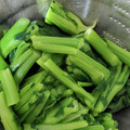 毎日しょっぱい亭's cooksnap of when they made のらぼう菜の茹で方.