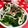 みっくママ's cooksnap of when they made ブロッコリーのマヨ焼き.