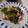 えびえり's cooksnap of when they made ほうれん草ベーコンエリンギのガリバタ炒め.
