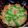 あーみーなー's cooksnap of when they made きぬさやと新玉ねぎの簡単卵とじ.