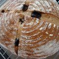 BUTAベーカリー's cooksnap of when they made クランベリーのカンパーニュ.