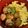 まゆpiyo's cooksnap of when they made ホタテの照り焼き丼.