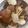 トラビスくんママ♡'s cooksnap of when they made ホタテ稚貝の酒蒸しとバター蒸し.