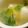 MULA's cooksnap of when they made 超簡単☆チンゲン菜と卵のスープ.