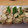らーじく's cooksnap of when they made エリンギのシソ肉巻き.