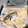 Capricorchiyo's cooksnap of when they made 黒鯛　塩釜焼き.