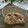 まろんかふぇ's cooksnap of when they made 酒かすと白味噌の超お手軽わさび漬けの素.