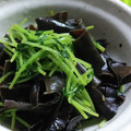 まぁ907's cooksnap of when they made きくらげと豆苗の生姜炒め.