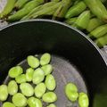 なばぁ♪'s cooksnap of when they made 空豆のさやの剥き方.