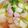 鳥が好き。's cooksnap of when they made チンゲン菜とベーコンのスープ.