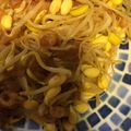 んりおか's cooksnap of when they made 美味しい節約☆たぬきもやし.