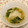 youtapapa's cooksnap of when they made 時短！柔らか大根の えのきと水菜あんかけ.
