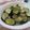 miyuki12's cooksnap of when they made 新玉で☆揚げナスのっけ盛り♪.